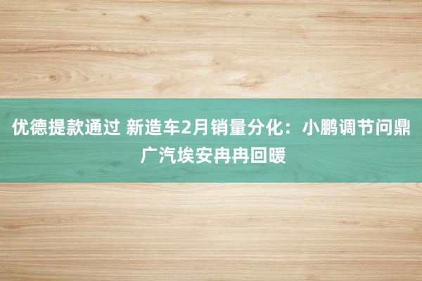 优德提款通过 新造车2月销量分化：小鹏调节问鼎 广汽埃安冉冉回暖